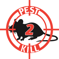 Mice Control Services in Rainham from Pest2Kill