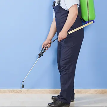 For the Office Pest2Kill offer treatments tailor made to effectively eradicate unwanted pests with minimum disruption to your business.